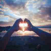 搜​索‍引‌擎​的‌采﻿集﻿和‌索﻿引‌机﻿制‌